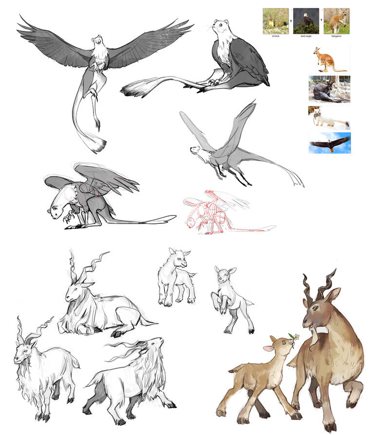 Animal/Creature Study